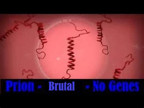 Please help me beat Prion Brutal (no genes). I've been at this.